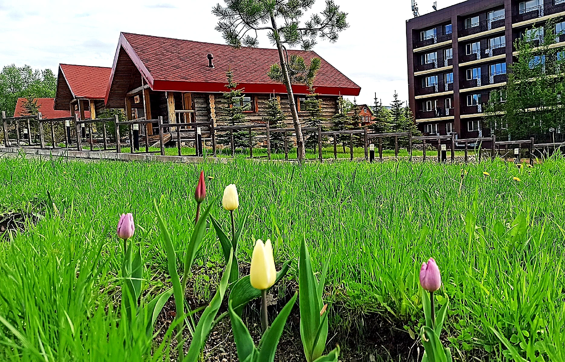 Hotel garden enhanced